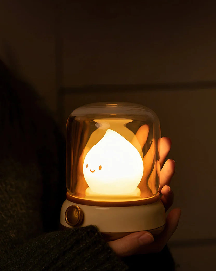 Dimmable LED Night Light with USB-C Charging